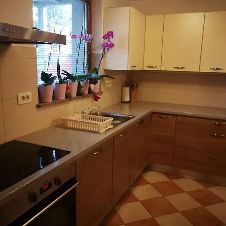 Snoopy House Apartment Zuzemberk Exterior photo