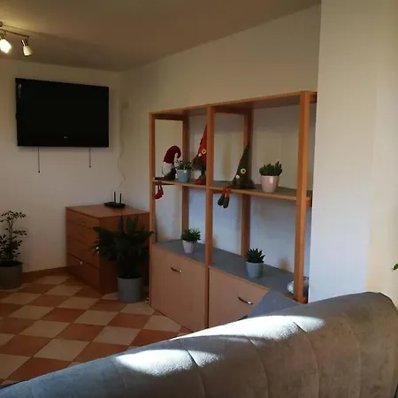 Snoopy House Apartment Zuzemberk Exterior photo