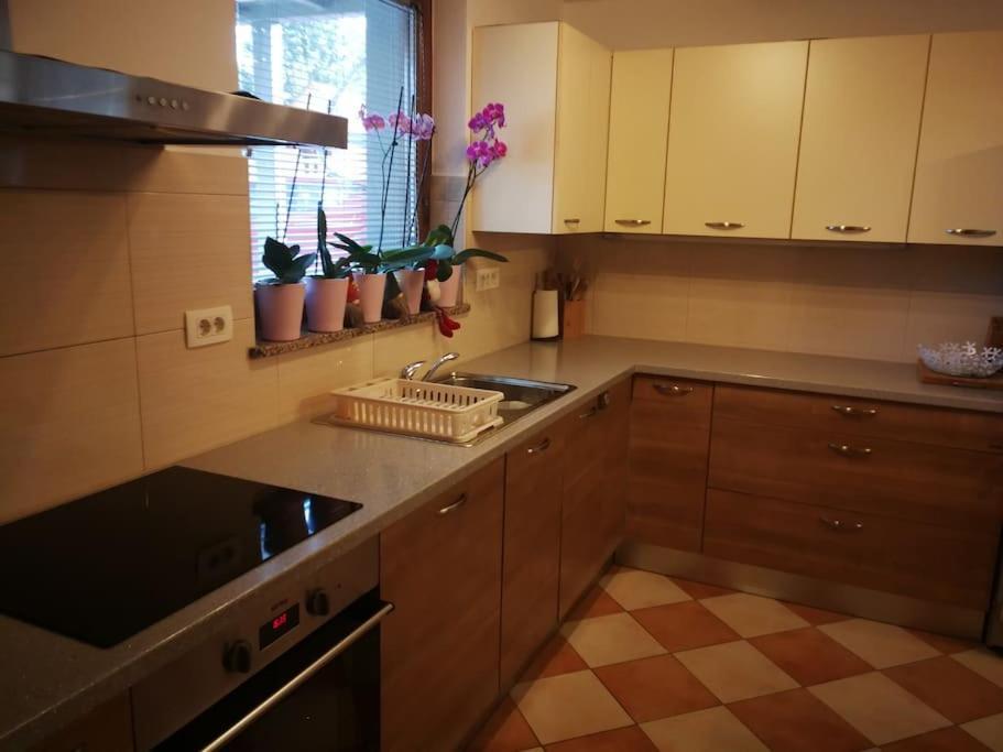 Apartment Snoopy House