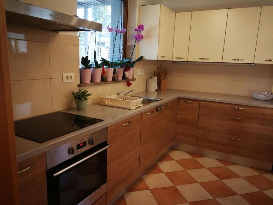 Snoopy House Zuzemberk