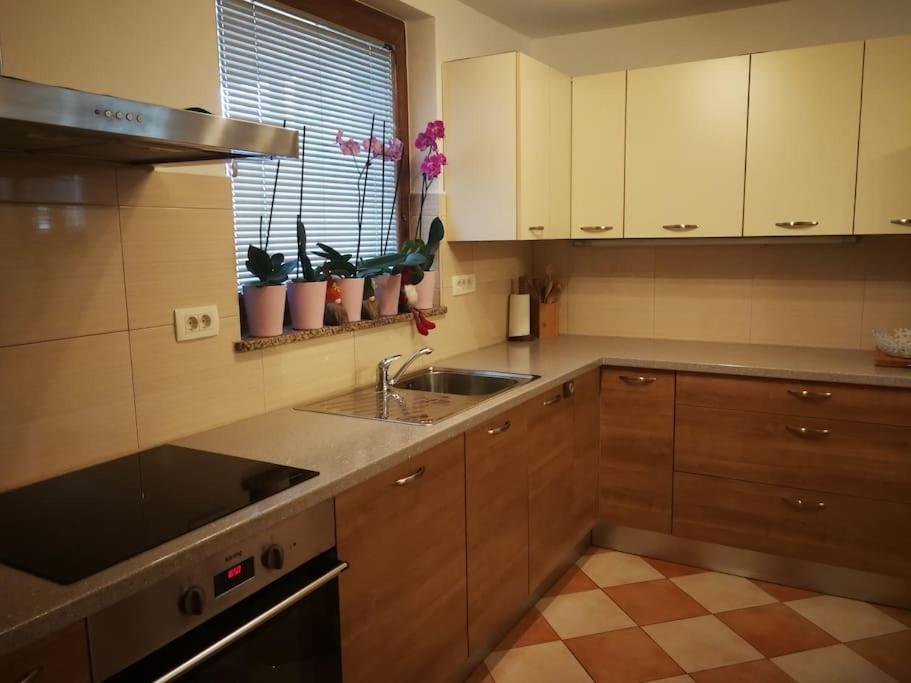 Snoopy House Apartment Zuzemberk